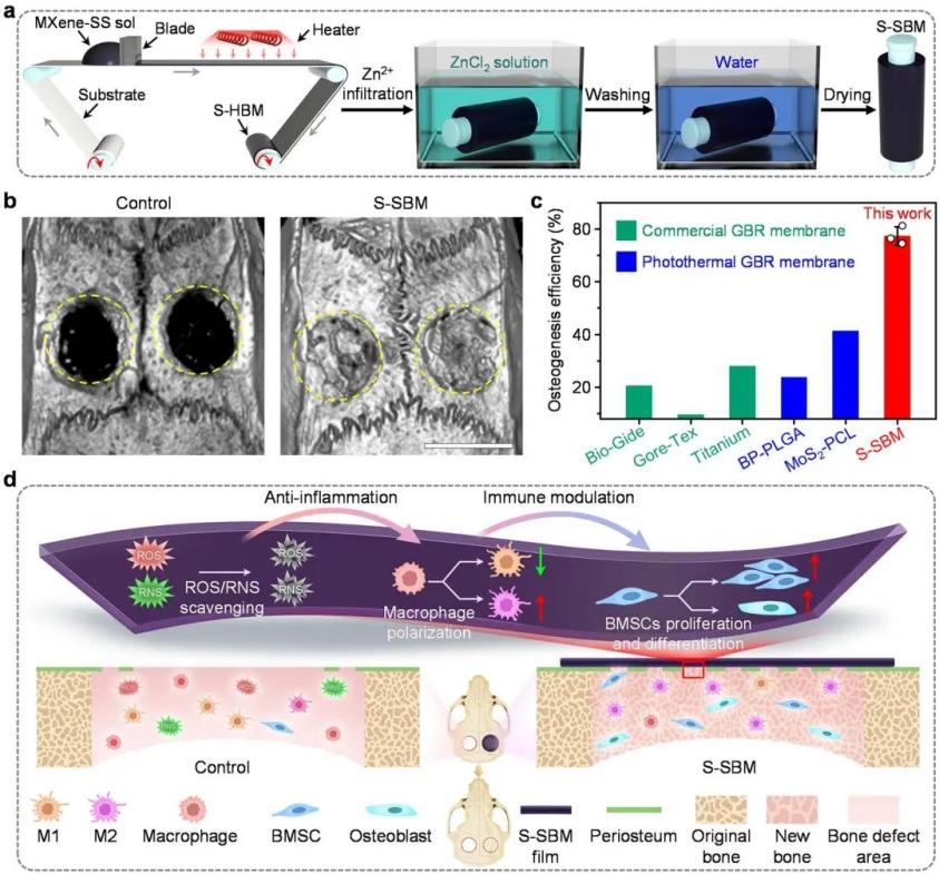 New Breakthrough in Material Science by Xuliang Deng’s Team Published in Nature