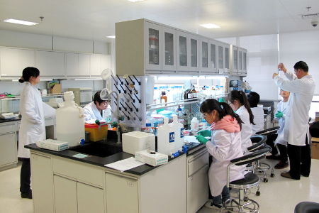 National Engineering Laboratory for Digital and Material Technology of Stomatology